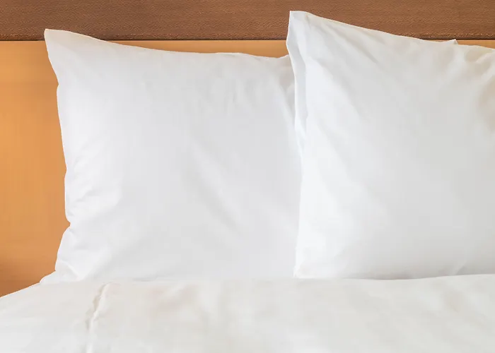 Hotels with tennis Holiday Inn Express Nashville Airport By Ihg