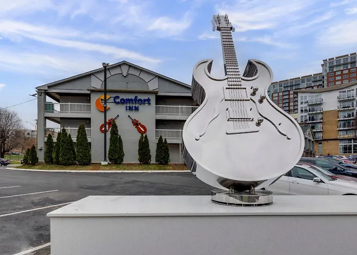 Pet Friendly hotel: Comfort Inn Downtown Nashville - Music City Center